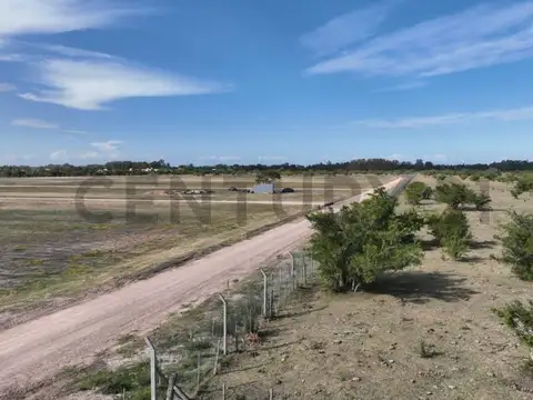 Terreno en Venta de 555,0 m2