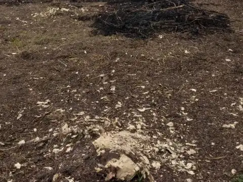 TERRENO EN SAUCE VIEJO