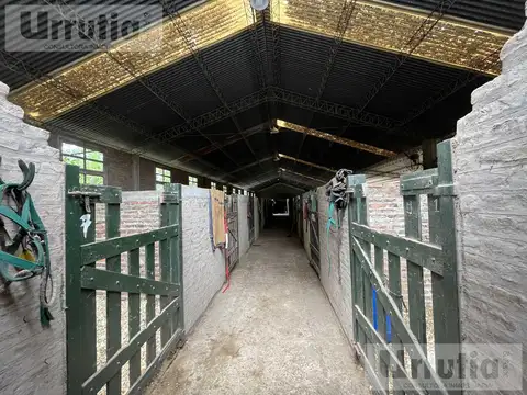 Esquina Roma y Arribeños