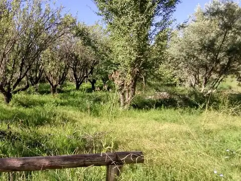 PUEBLA ESQ. COSTA CANAL