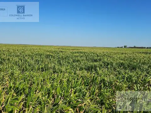 Campo en General Soler