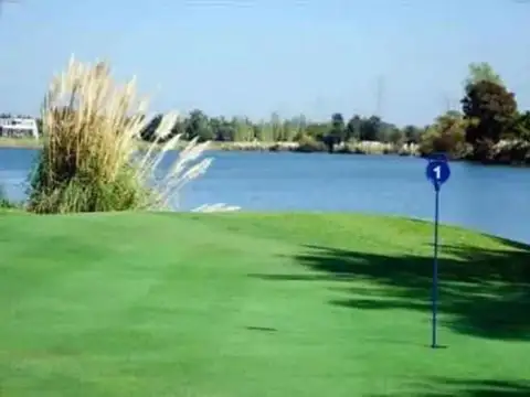 Colectora Km 41,5 1500