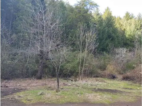 Terreno en Venta en Lago Puelo, USD 37.000