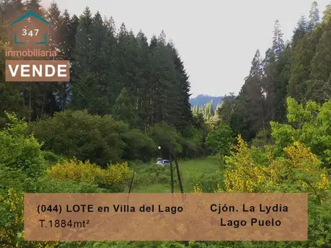 (044) LAGO PUELO (B° Villa del Lago), lote de 1.884 m2