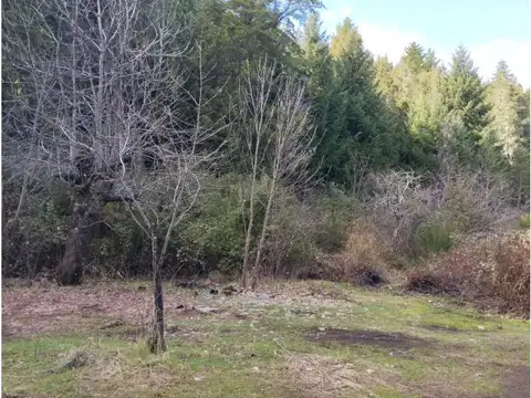 (044) LAGO PUELO (B° Villa del Lago), lote de 1.884 m2