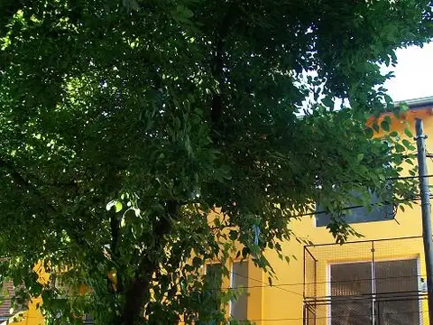 DEPTO DE 3 AMB AL FTE