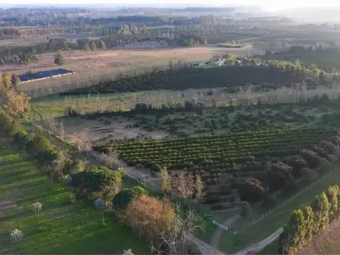 Terreno en Venta de 950,0 m2