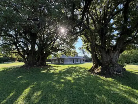 Venta EXCEPCIONAL Y ÚNICA Chacra de 12.300 m2 CASCA RESTAURADO ARBOLEDA AÑEJA EJEMPLARES