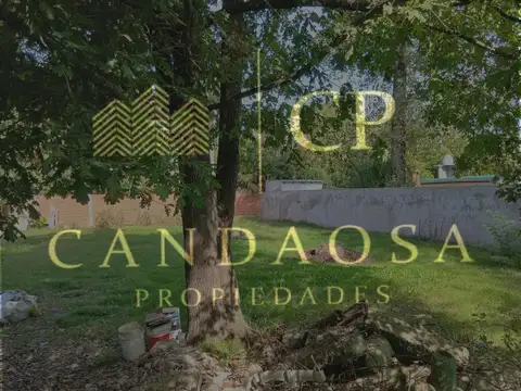 ORR.  Venta de Lote en la Lonja 