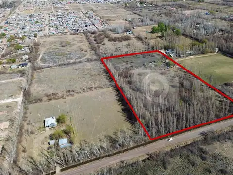 Chacra 3 Héctareas en Cipolletti (APTO DESARROLLO LOTEO SOCIAL) con casa y departamentos