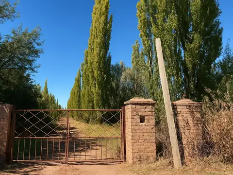 Chacra 3 Héctareas en Cipolletti (APTO DESARROLLO LOTEO SOCIAL) con casa y departamentos