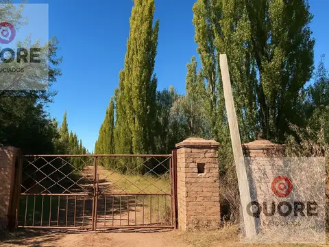 Chacra 3 Héctareas en Cipolletti (APTO DESARROLLO LOTEO SOCIAL) con casa y departamentos