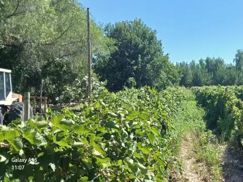 Ruta Provincial 24 100