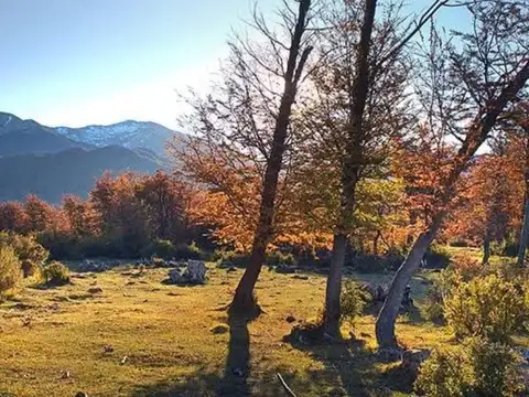 Campo en la Patagonia Argentina