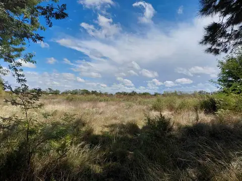 Terreno en Venta en Manzanares, USD 370.000