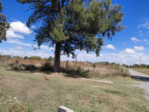 Terreno en Venta de 50000,0 m2