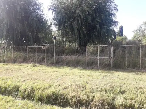Lote de Terreno en Alvear (La Carolina)