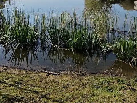 Terreno en Venta de 909,0 m2