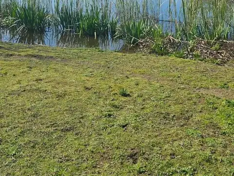 Terreno en Venta 21  mts Frente