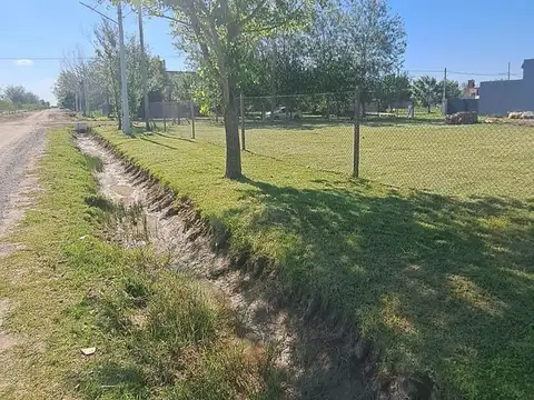Bv de la Alegría y Casilda. Tierra de Sueños 3