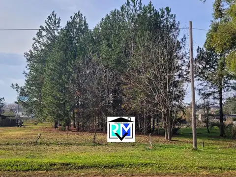 Amplio y excelente lote