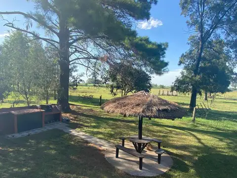 Chacra en venta - 10 Dormitorios 5 Baños Galpón - 12Hectareas - San Andrés de Giles