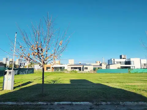 Terreno en Venta de 350,0 m2