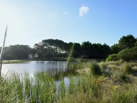 Casa en Venta en Pinamar, Partido de Pinamar