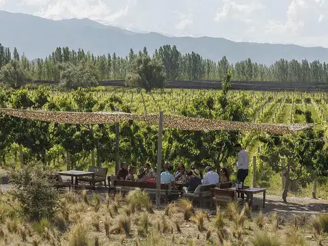 Terreno en Venta en Mendoza, USD 61.919