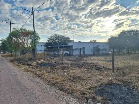 Camino Las Cortaderas