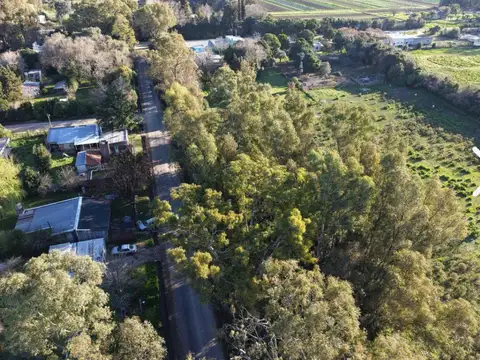 Terrenos y Lotes en Venta en Arana [Cod: 5-651897252894]