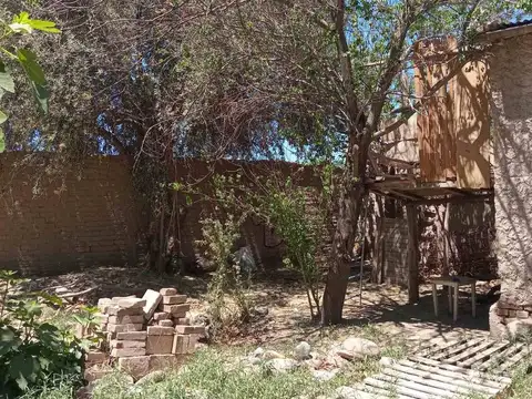 CARLOS PELLEGRINI 300