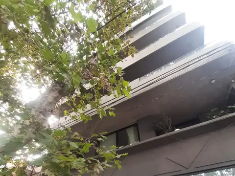 Junín 600