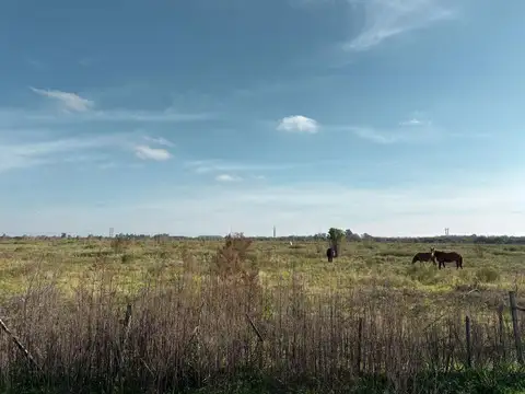 Campo en Ramallo ´86 has