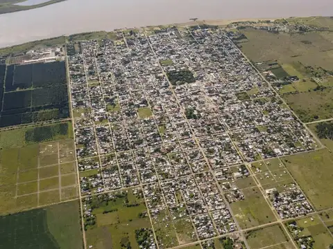 Campo de 86 has sobre Autopista Rosario - Buenos Aires