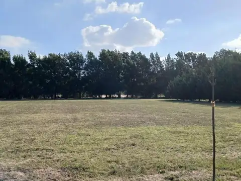 Terreno en Venta de 2000,0 m2
