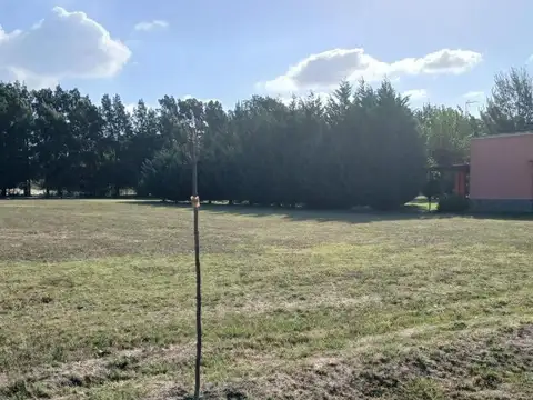 El Espinillo Golf