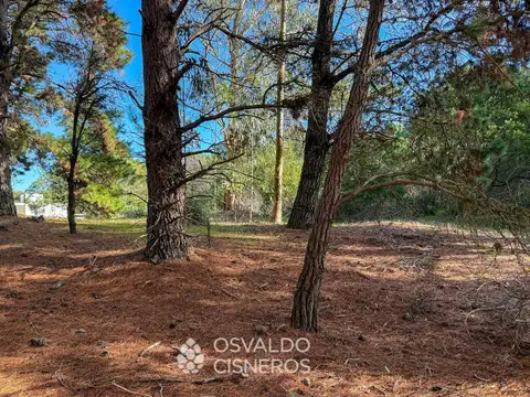 Terreno en Venta 10  mts Fondo