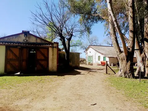 VENTA  46 HAS - CORTÍNEZ, LUJÁN - PROVINCIA DE BUENOS AIRES