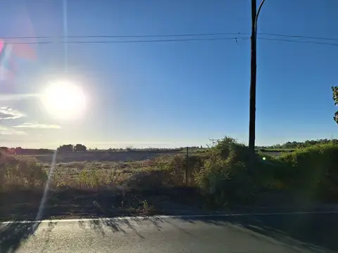 Terreno en Venta 50  mts Fondo