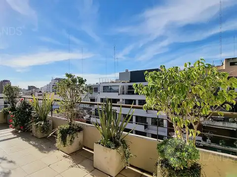 Departamento en Alquiler al Noreste