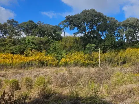 Terreno en Venta en Los Alisos, $ 18.000.000