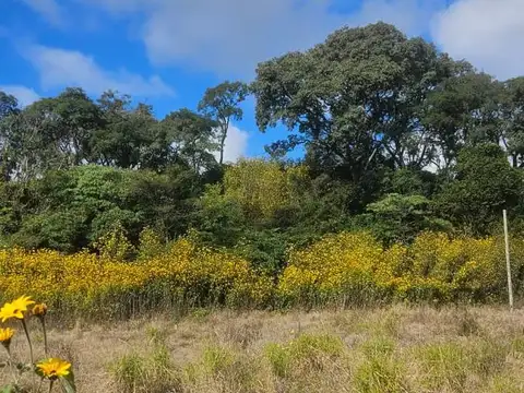 TERRENO EN VENTA EL NOGAL | LOS ALISOS