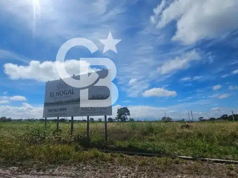 El Nogal Los Alisos