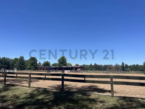 Terreno en Venta de 1007,0 m2