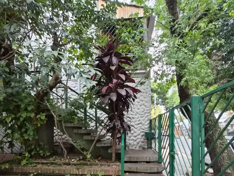 ALQUILER DÚPLEX 5 AMBIENTES Y COCHERA OLIVOS