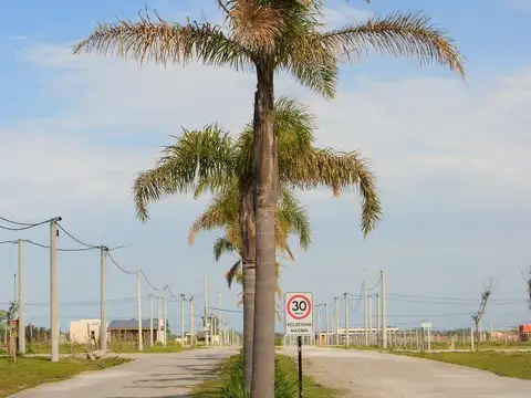 Terreno en Venta de 3700,0 m2