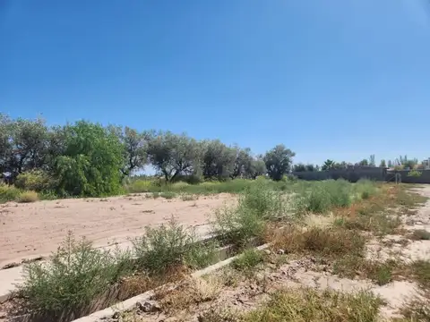 Lote en Venta Coquimbito - Maipú