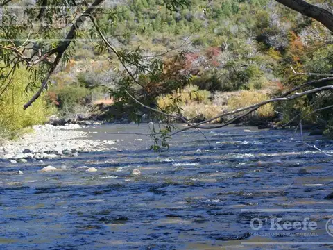 Campo en Venta  486 Has  con costa  del Alto Rio Chubut