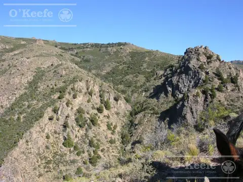 Campo en Venta  486 Has  con costa  del Alto Rio Chubut